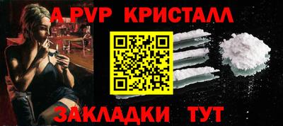 тгк Кингисепп