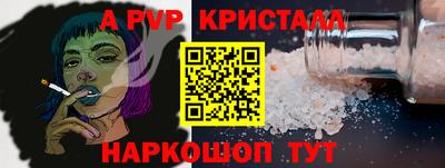 тгк Кингисепп