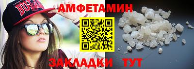 тгк Кингисепп