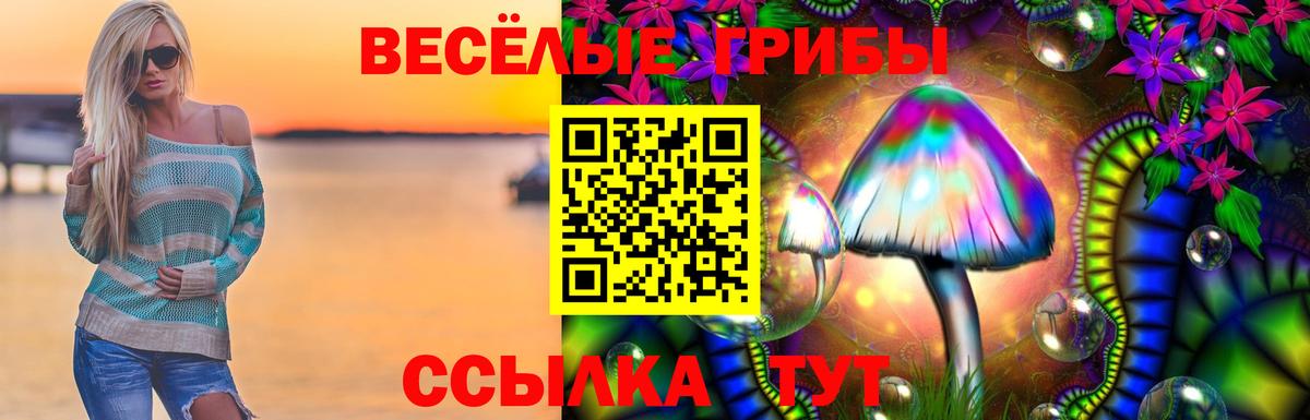 Псилоцибиновые грибы Psilocybe Урюпинск